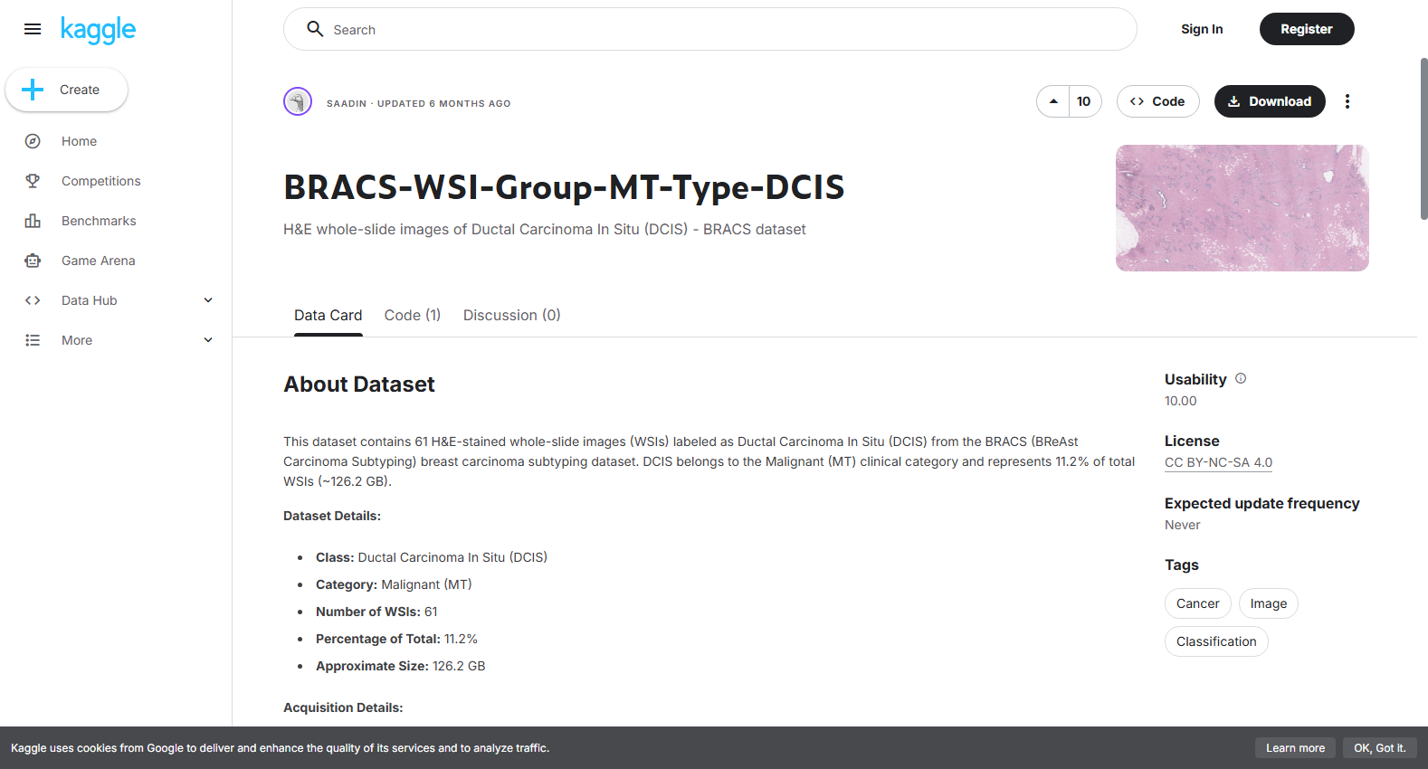 BRACS-WSI-DCIS子集